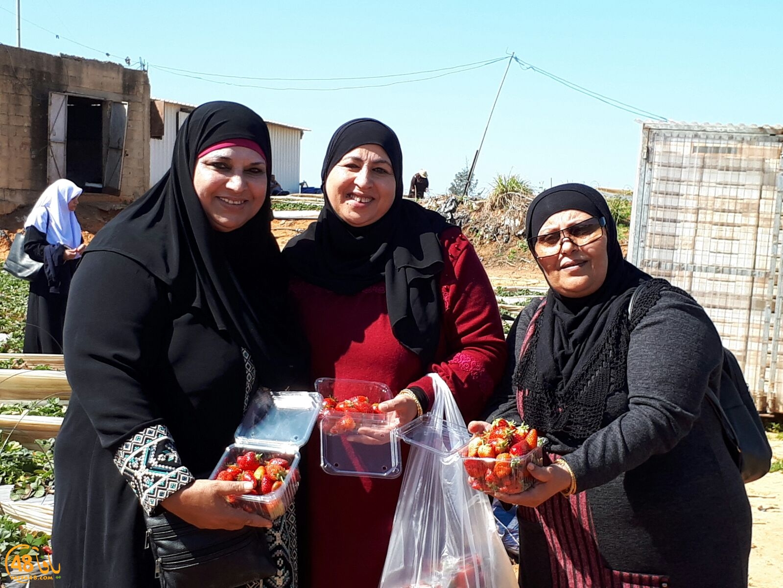 ab7bableaqsaa3 (2).jpg